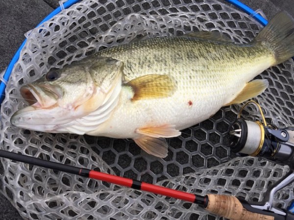 hideup 武田栄喜 ブログ写真 2019/11/19