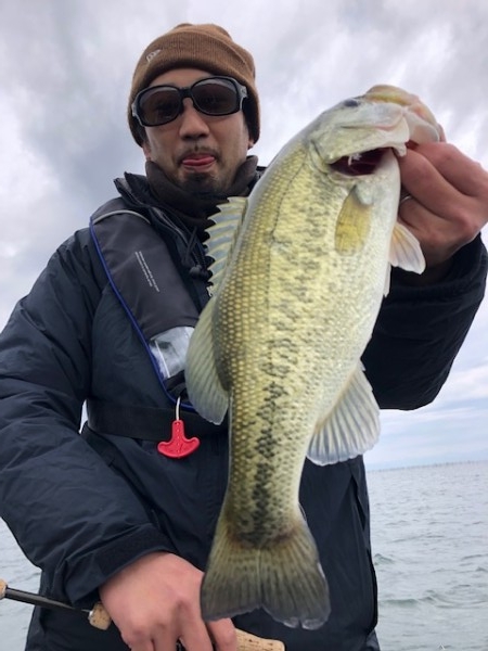 hideup 武田栄喜 ブログ写真 2019/11/19