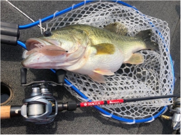 hideup 武田栄喜 ブログ写真 2019/11/23