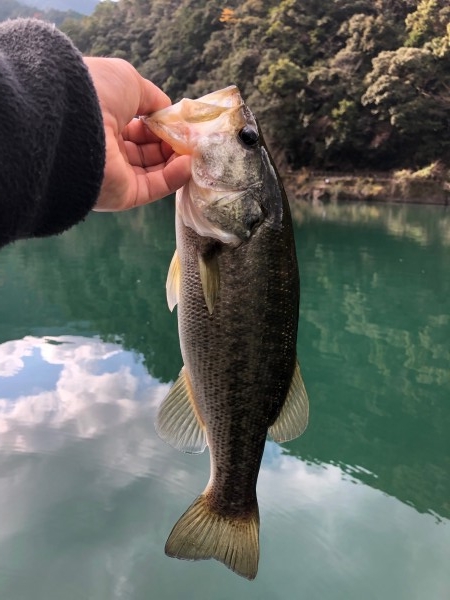 hideup 武田栄喜 ブログ写真 2019/12/19