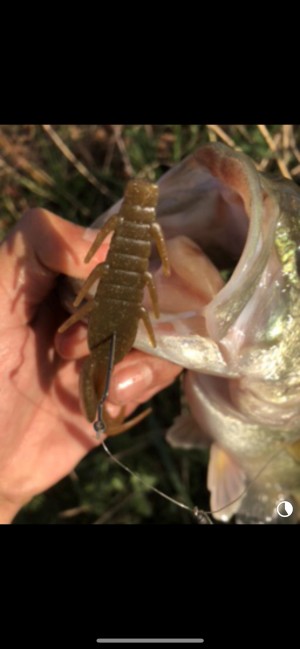 hideup 武田栄喜 ブログ写真 2020/01/25