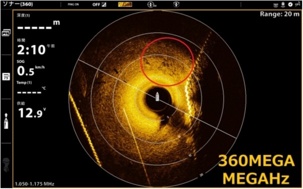 hideup 武田栄喜 ブログ写真 2020/01/25