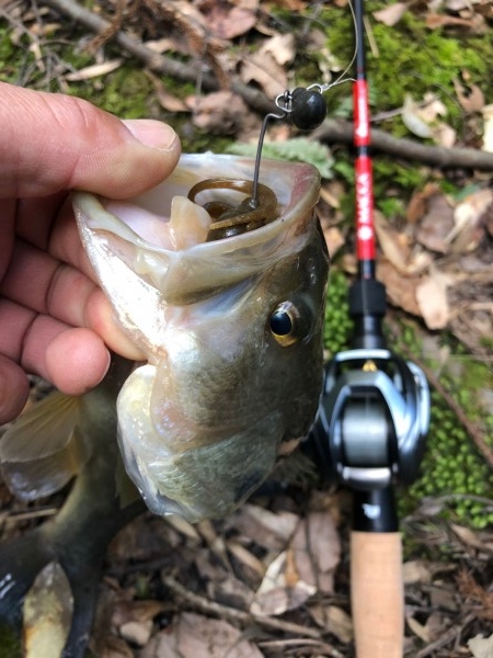 hideup 武田栄喜 ブログ写真 2020/01/29