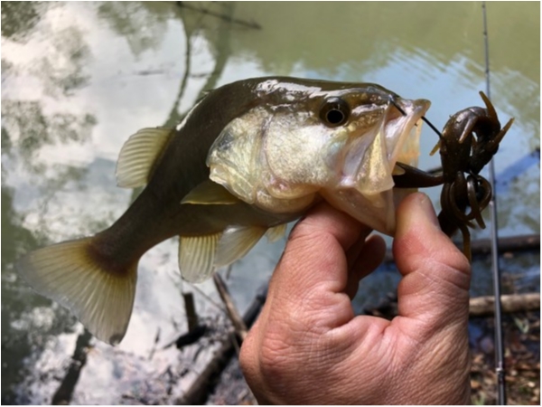 hideup 武田栄喜 ブログ写真 2020/01/29