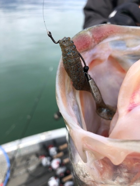 hideup 武田栄喜 ブログ写真 2020/02/28