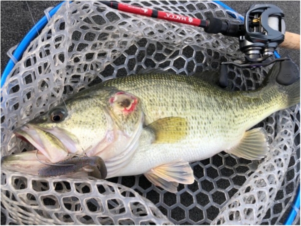 hideup 武田栄喜 ブログ写真 2020/03/10