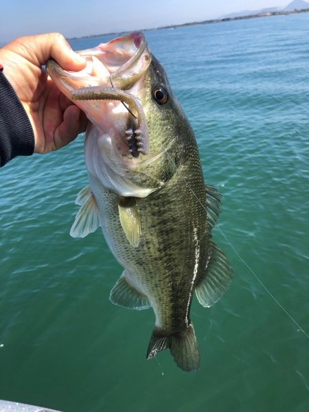 hideup 武田栄喜 ブログ写真 2020/03/11