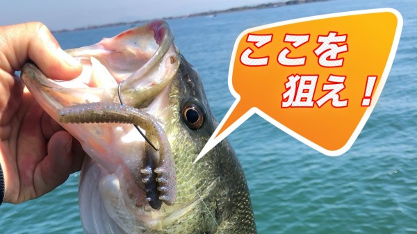 hideup 武田栄喜 ブログ写真 2020/03/11