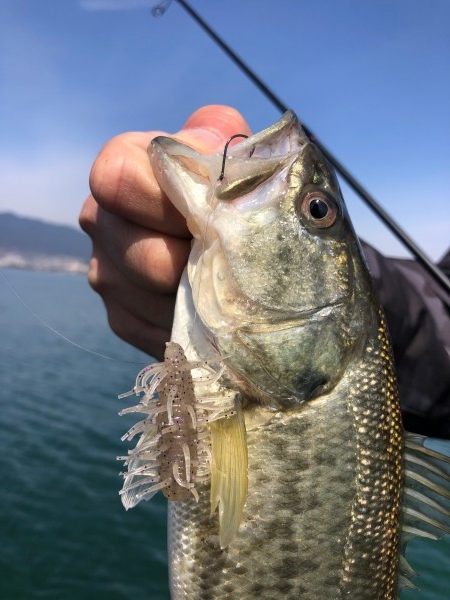 hideup 武田栄喜 ブログ写真 2020/03/14