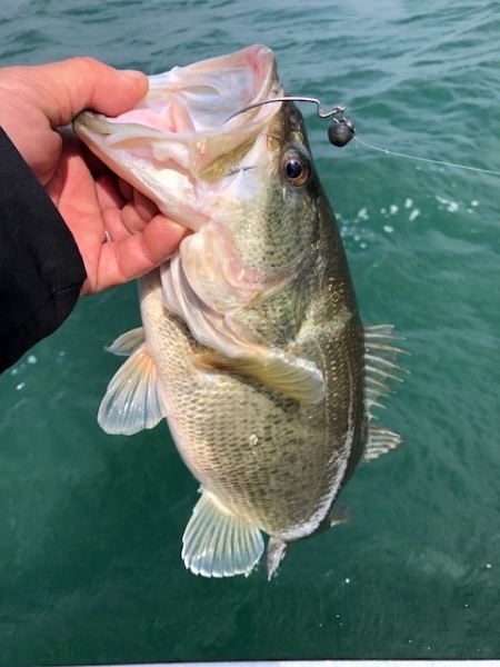 hideup 武田栄喜 ブログ写真 2020/03/21