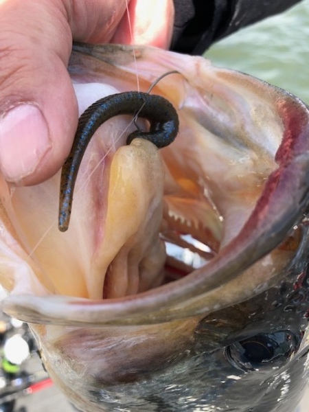 hideup 武田栄喜 ブログ写真 2020/04/07