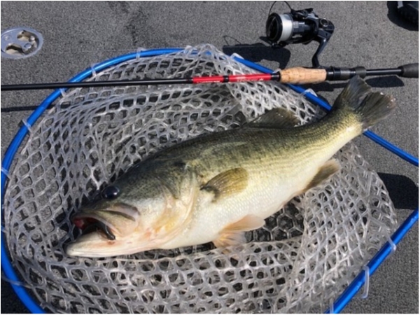 hideup 武田栄喜 ブログ写真 2020/04/07