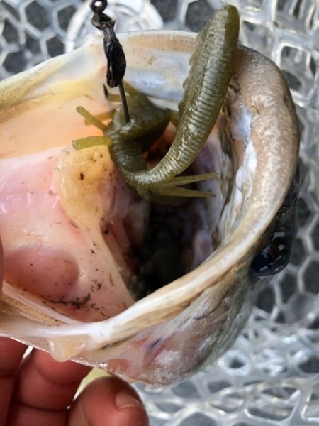 hideup 武田栄喜 ブログ写真 2020/04/11