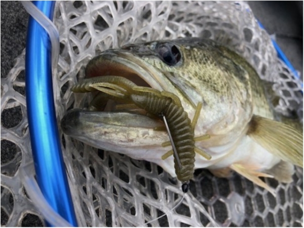 hideup 武田栄喜 ブログ写真 2020/04/11