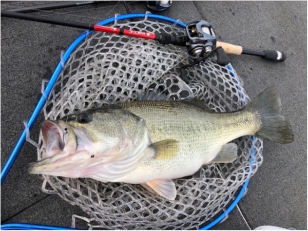 hideup 武田栄喜 ブログ写真 2020/04/11