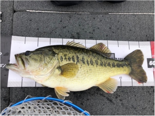 hideup 武田栄喜 ブログ写真 2020/04/23