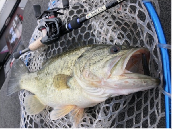 hideup 武田栄喜 ブログ写真 2020/04/23