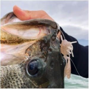 hideup 武田栄喜 ブログ写真 2020/05/11