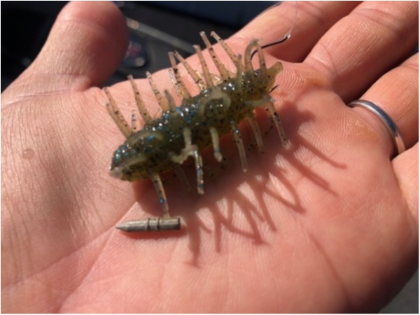 hideup 武田栄喜 ブログ写真 2020/06/03