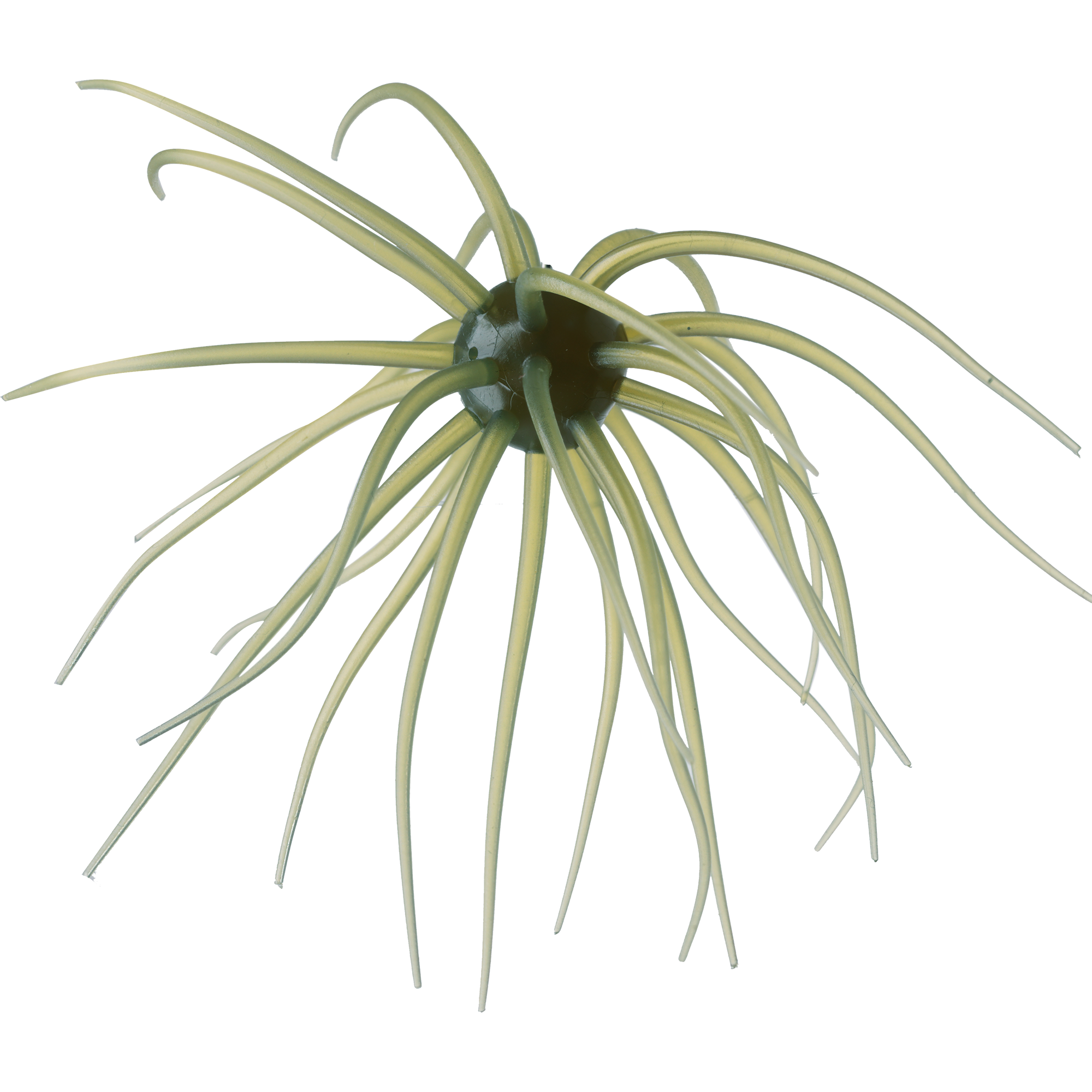 コイケ13mm HIDEUP ハイドアップ