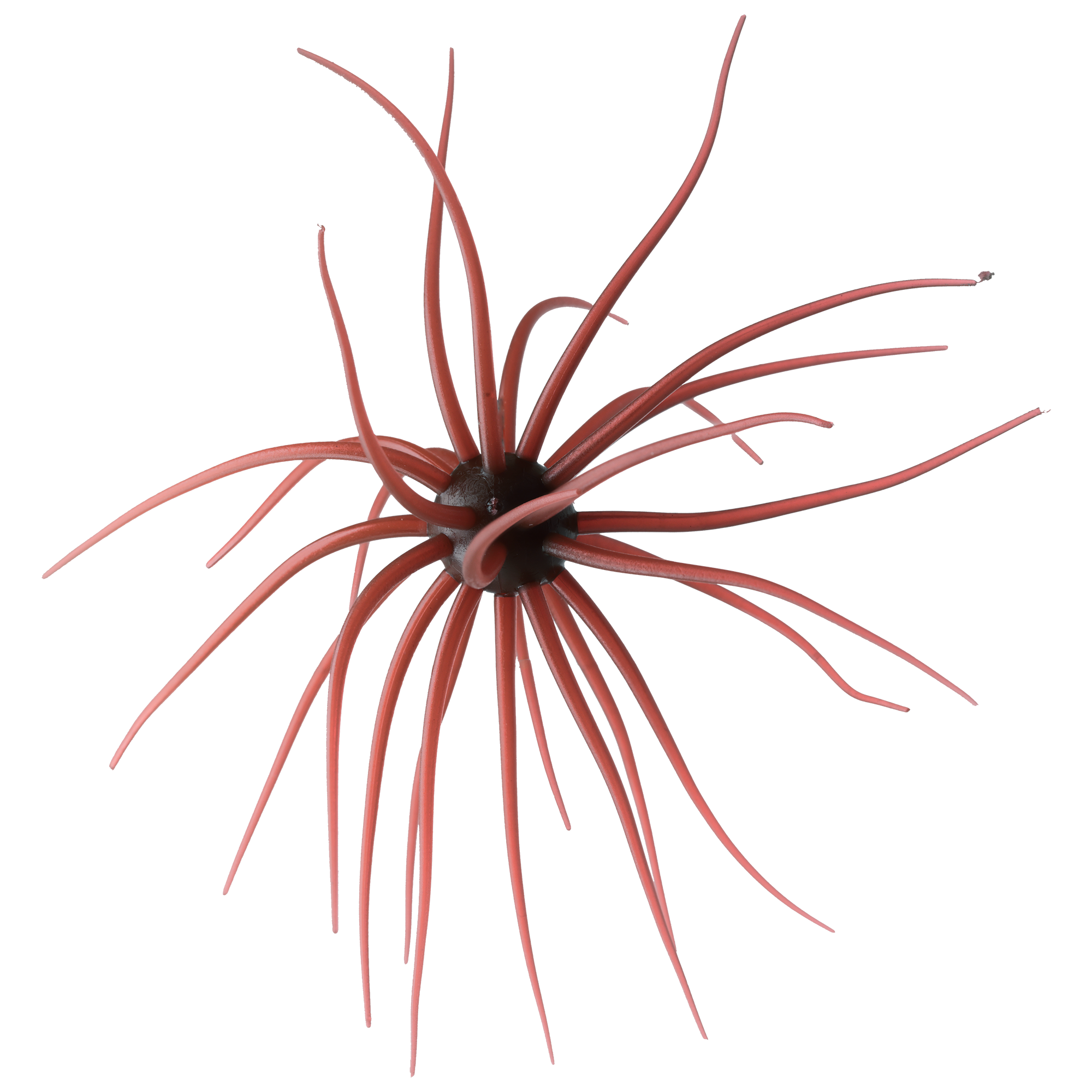 コイケ13mm 15個 9c875a64e7cdf18460a2d3d65d2015