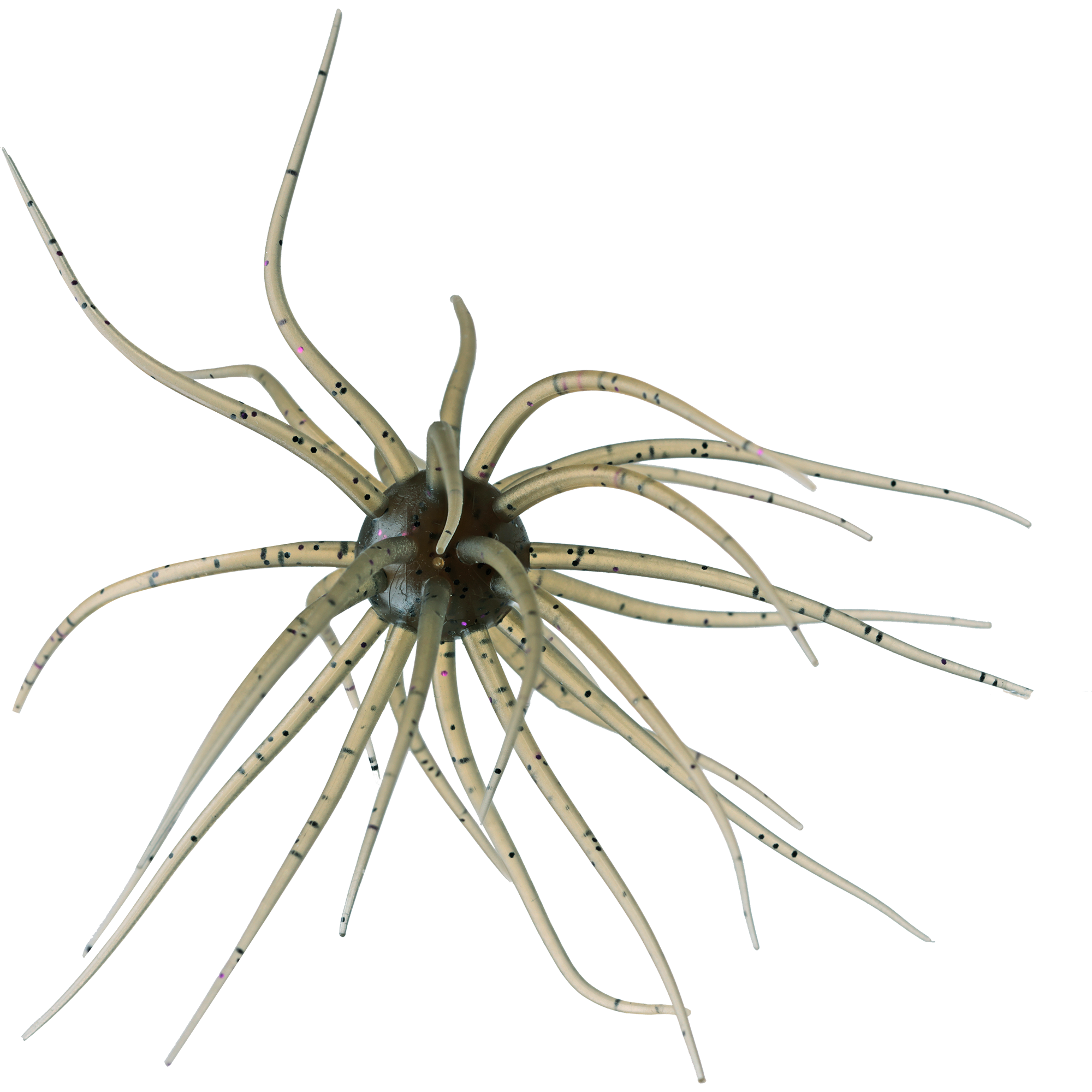 コイケ13mm HIDEUP ハイドアップ