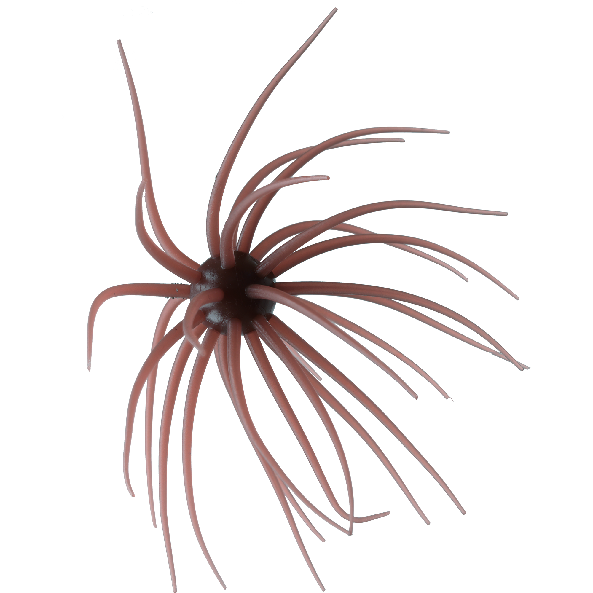 コイケ13mm HIDEUP ハイドアップ